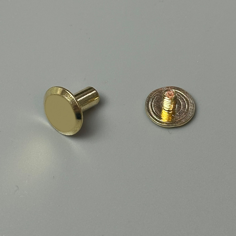 Belt screws, 100 pcs, yellow gold, ø10×8 mm
