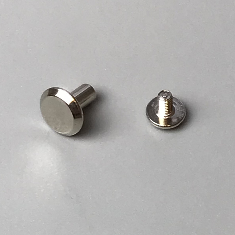Belt screws, 100 pcs, nickel, ø10×8 mm