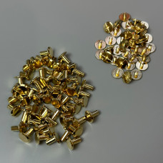 Ремінні гвинти, 100 шт, жовте золото, ø10×8 мм