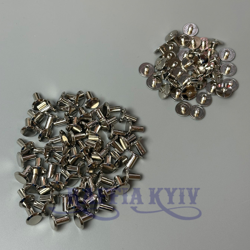 Belt screws, 100 pcs, nickel, ø10×8 mm