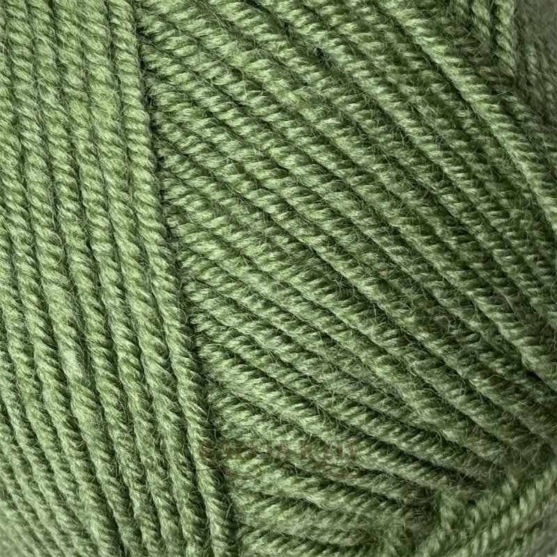 Etrofil Popstar Yarn for Knitting & Crochet — color Sage