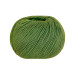 Пряжа Lana Gatto Cashcot, 31287 (Verde)