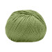 Lana Gatto Merinocot yarn 14529 (Foglia/Forno)